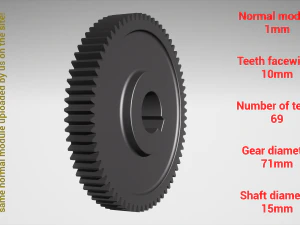 Cylindrical gear - paired - z69 m1 D71 d15 3D Print Model
