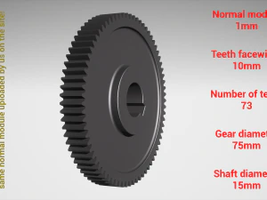 Цилиндрическая передача - спаренная - z73 m1 D75 d15 3D Принт Модель