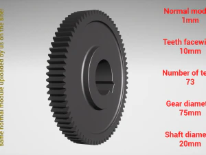 Cylindrical gear - paired - z73 m1 D75 d20 3D Print Model
