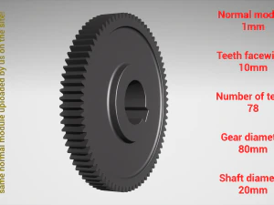 Cylindrical gear - paired - z78 m1 D80 d20 3D Print Model