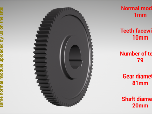 Cylindrical gear - paired - z79 m1 D81 d20 3D-printmodel