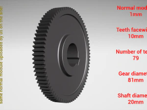 Cylindrical gear - paired - z79 m1 D81 d20 3D Print Model