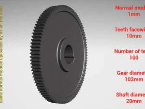 Cylindrical gear - paired - z100 m1 D102 d20 3D Print Model