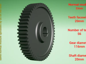 Cylindrical gear - paired - z56 m2 D116 d20 3D Print Model
