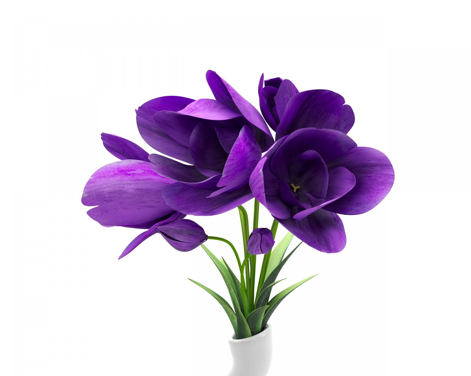 Flowers 3D Model .c4d .max .obj .3ds .fbx .stl .blend 