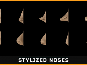 100 ZBrush VDM Stylized nose brushes Modello 3D