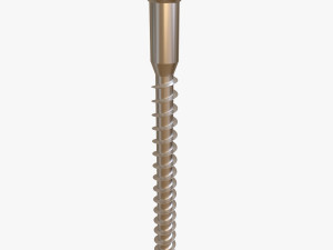 Phillips Flat Head Wood Screw 3D Model