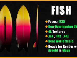 10 Surfboard s UPDATE 3D Model