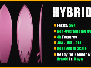 10 Surfboard s UPDATE 3D Model