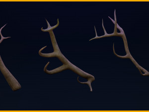 50 Creature Horns IMM 10 Horn Sockets VDM 3D 모델