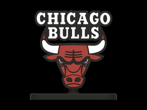 Chicago Bulls NBA Logo Stand 2 version 3D 打印模型