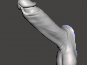 Penis 02 3D Models