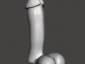 Penis 03 3D Models