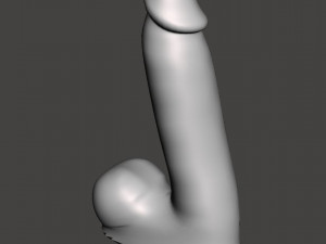 Penis 04 3D Models