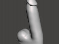 Penis 04 3D Models
