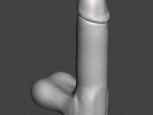 Penis 05 3D Models