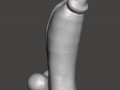 Penis 06 3D Models