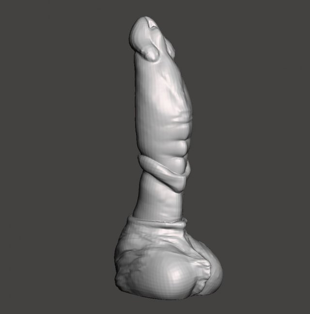 Penis 09 Modello 3D .c4d .max .obj .3ds .fbx .stl .blend 