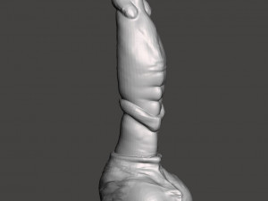 Penis 09 3D Models