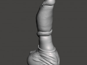 Penis 09 Modello 3D
