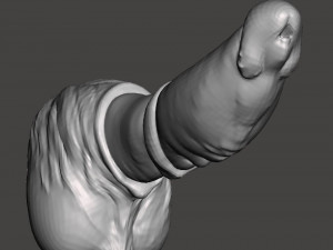 Penis 09 Modello 3D