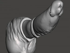 P&ecirc;nis 09 Modelo 3D