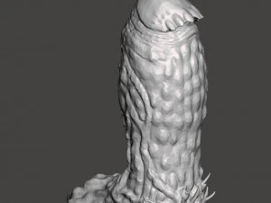 Penis 11 3D Model