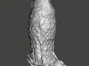 Penis 11 3D Model