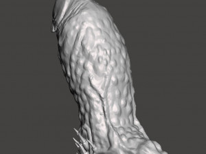Penis 11 Modelo 3D