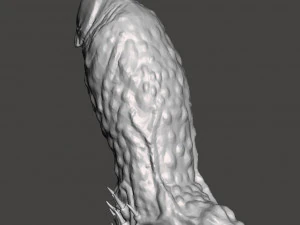 Penis 11 3D Model
