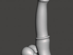 Penis 14 3D Models
