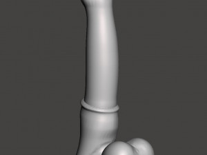 Penis 14 3D Модель