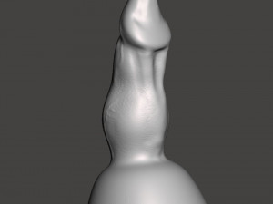 Penis 15 3D Models