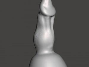 Pênis 15 Modelo 3D