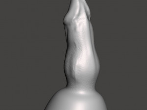 Penis 15 Modello 3D