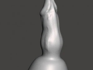 Penis 15 3D Model