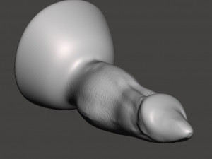 Penis 15 Modello 3D