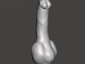 Penis 16 3D Models