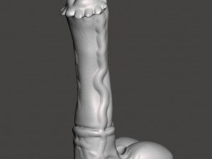 Penis 17 3D Models
