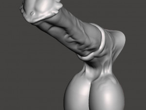 Penis 17 Modèle 3D