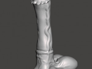 Penis 17 Modèle 3D