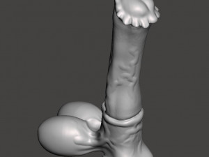 Penis 17 Modèle 3D