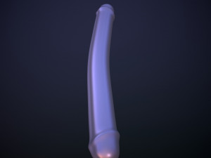 Penis AC12-01 STL OBJ 3D Model