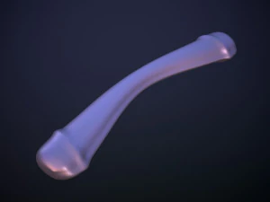 Penis AC12-02 STL OBJ 3D Model