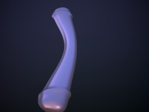 Penis AC12-02 STL OBJ 3D Модель