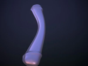 Penis AC12-02 STL OBJ 3D Model