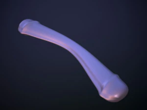 Penis AC12-02 STL OBJ 3D Model