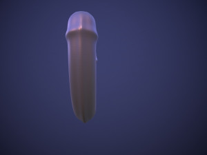 Penis AC12-03 STL OBJ 3D Модель