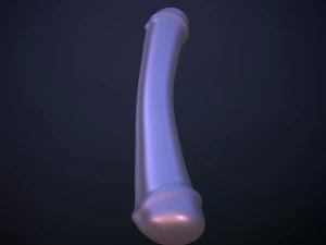 Penis AC12-04 STL OBJ 3D Model