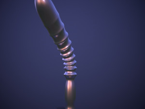 Penis AC12-10 STL OBJ 3D Baskı Modeli